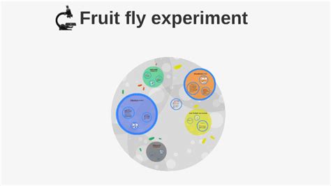 Fruit fly experiment by michael melton on Prezi