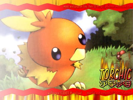 Torchic Wallpaper - Pokemon & Anime Background Wallpapers on Desktop ...