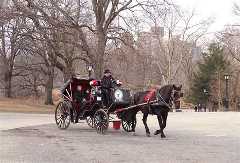 Central Park Carriage Rides in March!