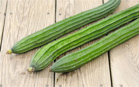 Luffa - Great Joy Family Farm