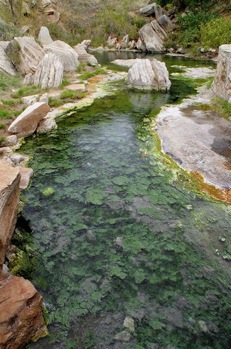 Thermopolis Hot Springs Photograph by Geraldine Alexander