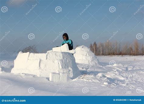 Man Building an Igloo of Snow Blocks in the Winter Stock Photo - Image of cold, fragment: 85684288