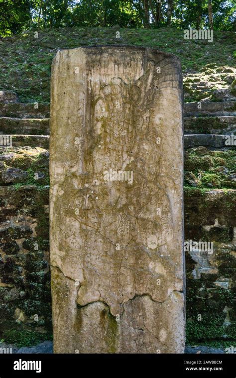 Stela 9 at Structure N10-27 at Lamanai, Maya ruins, rainforest near Indian Church village ...