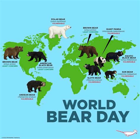 Geographic range of the bear species