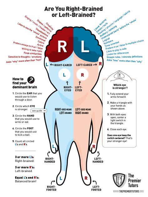 Are you right-brained or left-brained? That is the Question.