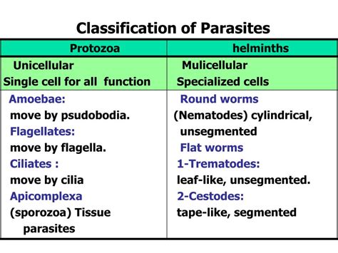 PPT - Classification of Parasites PowerPoint Presentation, free ...