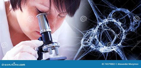 Scientist Looking at Bacteria through the Microscope Stock Photo - Image of microorganism ...