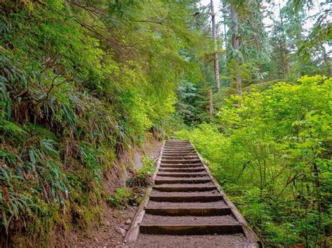 20 Easy Hikes in Washington State to Explore in 2024 (A Local's Guide ...