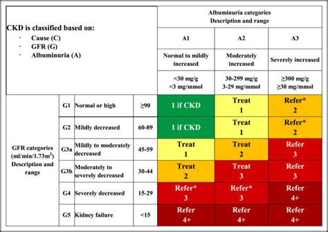 Practical Approach to Detection and Management of Chronic Kidney Disease for the Primary Care ...