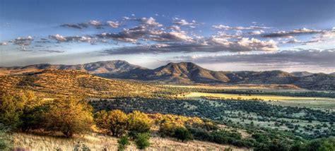 Great Texas Wildlife Trails - Wildlife - TPWD