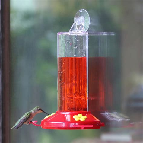 The Best Window Bird Feeders for 2021 - Meego