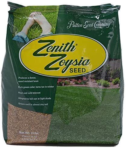 Zenith Zoysia Grass Seed (2 Lb.) 100% Pure Seed Grown by Patten Seed ...