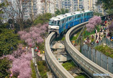 Monorail train runs past blooming flowers at Chongqing metro line 2