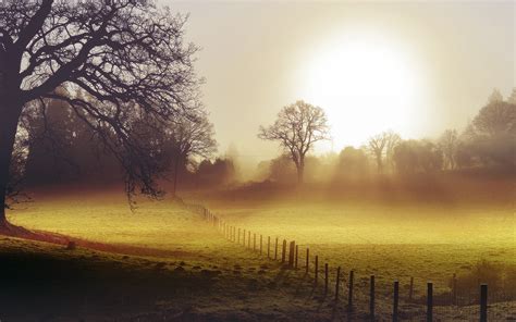 Morning Fog Backgrounds wallpaper | 2560x1600 | #31014