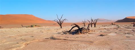 Deserts | Habitats | WWF | Desert biome, Desert places, Desert ecosystem