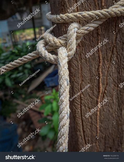 Rope Tie Rope Knot Isolated White Stock Photo 762208774 | Shutterstock