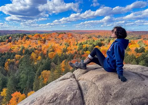 10 Best Hiking Trails in Algonquin Park for Families