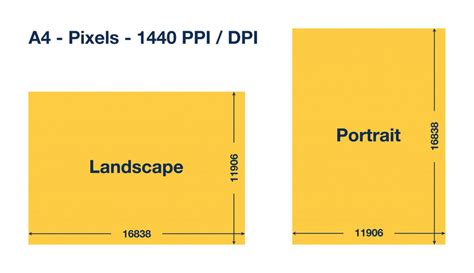 A4 size in pixels. Convenient calculator with different DPIs.