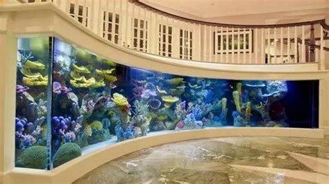 How to Build a Very Large Aquarium: Tips and Tricks for a Stunning Aquatic Display.