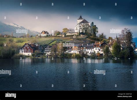 Skyline of Buchs with Werdenberg Castle and Werdenberg Lake - Buchs, Switzerland Stock Photo - Alamy