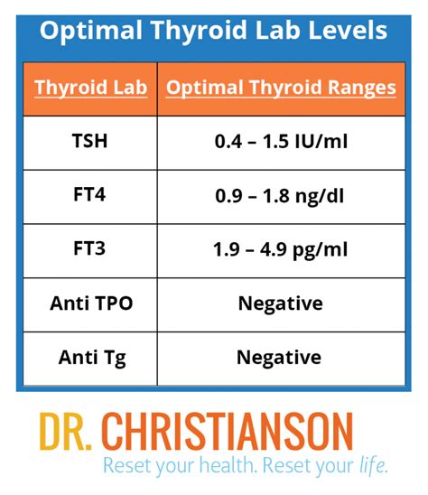 Guide: Optimal Thyroid Levels & Testing | Dr. Christianson