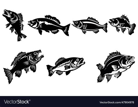 Bass fish silhouette base fish Royalty Free Vector Image