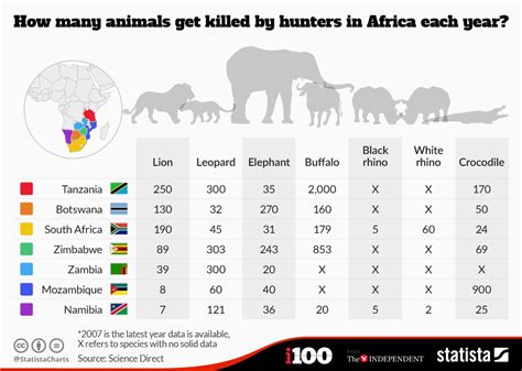 How many animals get killed by hunters in Africa each year ? #Infographic #elephant #lion #rhino ...