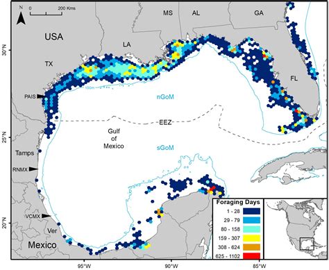 Satellite Tracking Kemp's Ridley Sea Turtles - Padre Island National ...