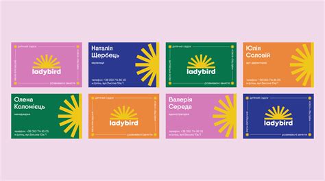 Visual Identity for Ladybird Branding Design