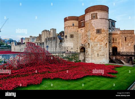 Poppy Display at The Tower of London To Commemorate the 100 year ...