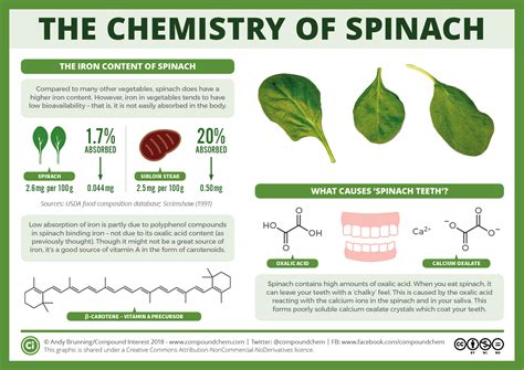 The chemistry of spinach: the iron myth and 'spinach teeth' | Compound Interest