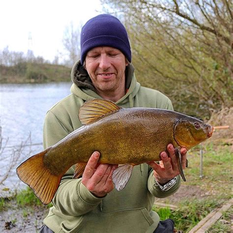 Tench Fishing Guide - What Is Tench & How to Catch It | BadAngling