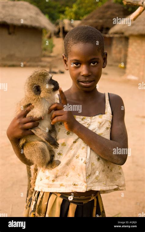 Young African girl with a pet monkey in her village Louloboka beside ...