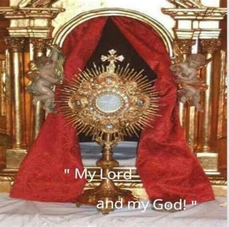 Pin by ⛪Born| Raised| Stay| Die| Cath on Catholicism | Eucharistic ...