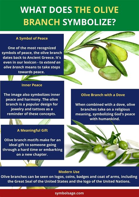 What Does the Olive Branch Symbolize? | Olive branch meaning, Olive branch, Olive branch symbolism