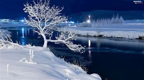 lake, Winter, Night, trees - Beautiful views wallpapers: 1920x1080