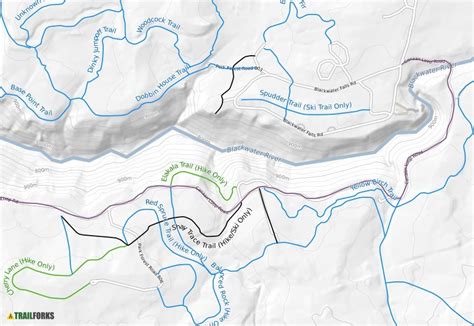 Blackwater Falls State Park, Davis Mountain Biking Trails | Trailforks