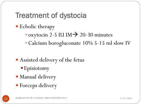 PPT - Dystocia dog and cat PowerPoint Presentation, free download - ID ...