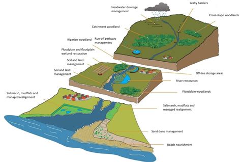 River Floodplain Diagram