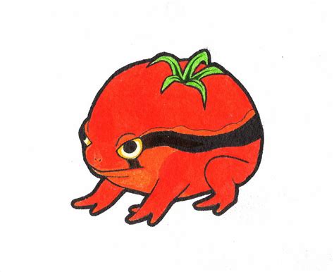 Angry tomato frog Drawing by Yichen Gao - Pixels