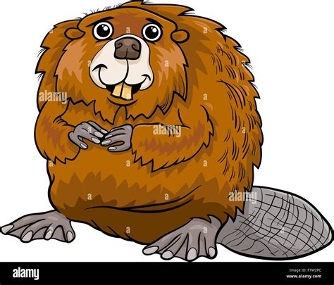 beaver animal cartoon illustration Stock Vector Image & Art - Alamy