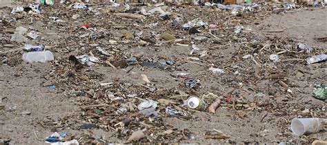 Our Plastic Problem: Impacts of Single-Use Plastics on the Environment ...