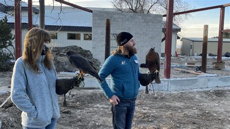 Idaho Power Flight Lab coming to life at Boise's birds of prey | ktvb.com