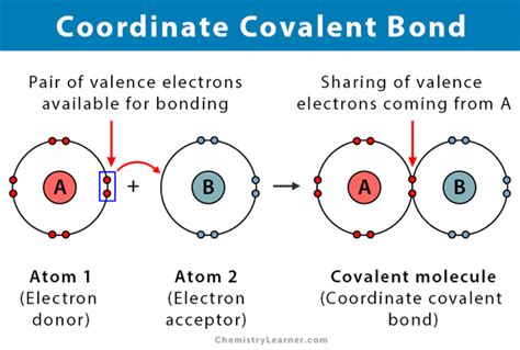 Dative Covalent Bond Examples : Dative Bonding, Co-ordinate Covalent ...