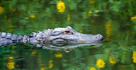 Everglades National Park - Off the Beaten Path