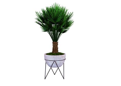 Green plant isolated on white background 3617925 Stock Photo at Vecteezy