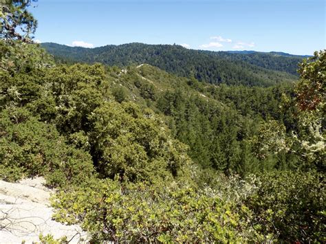 Butano State Park Exploration - Lonely Hiker