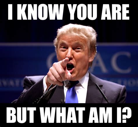 but what am I | Donald Trump | Know Your Meme