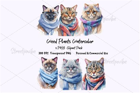 Funny Cat Watercolor Clipart PNG Pack Graphic by Streetpovibe · Creative Fabrica