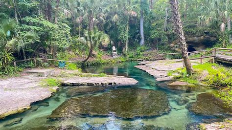 Tips For Kelly Park/Rock Springs: The Perfect Florida Oasis - Florida ...